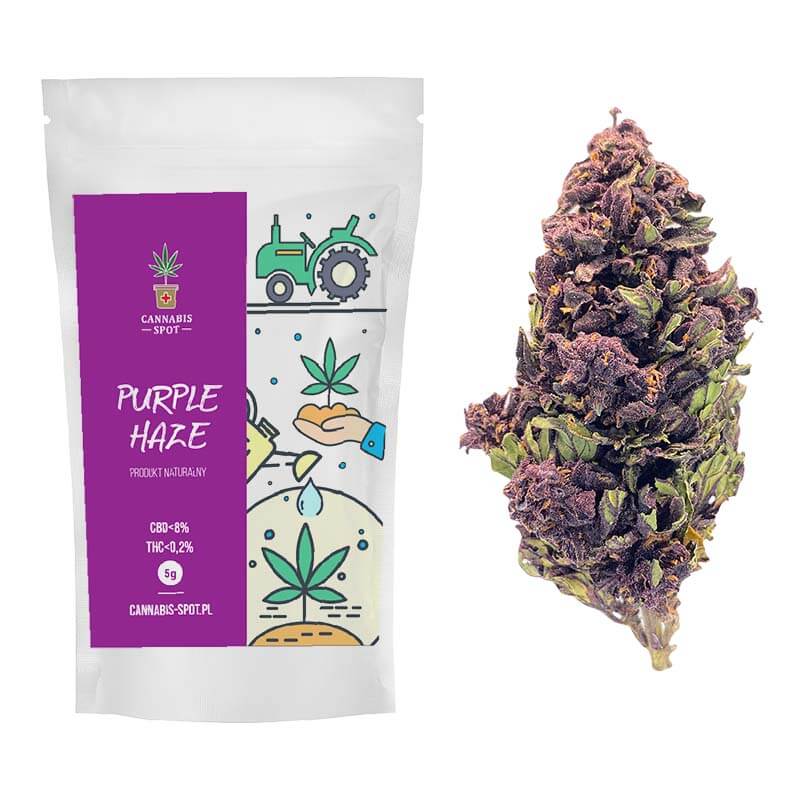 Purple Haze CBD flowers 8% - 143
